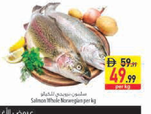 available at Safeer Market in UAE - Ras al Khaimah