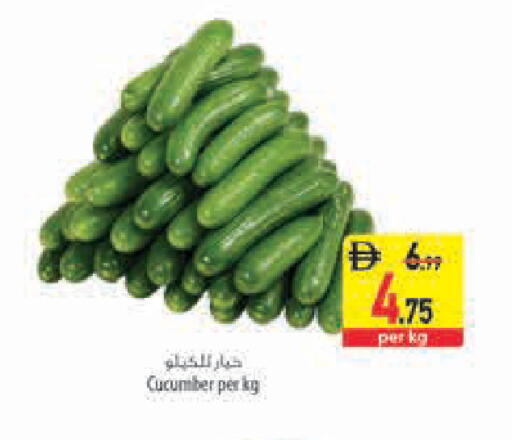Cucumber available at السفير ماركت in الإمارات العربية المتحدة , الامارات - رَأْس ٱلْخَيْمَة