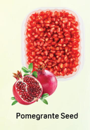 available at دي تو دي in الإمارات العربية المتحدة , الامارات - دبي