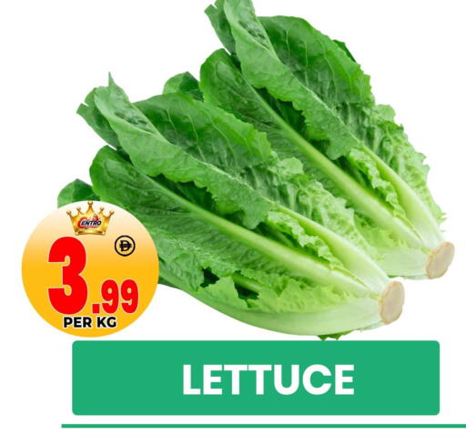 Lettuce available at مركز الخصومات سنترو in الإمارات العربية المتحدة , الامارات - دبي
