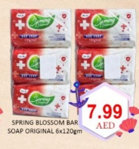 available at GREEN GIFT DEPARTMENT STORE in UAE - Abu Dhabi