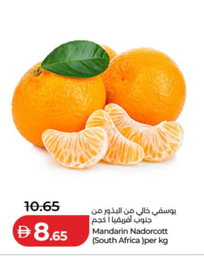 Mandarin from South Africa available at لولو هايبرماركت in الإمارات العربية المتحدة , الامارات - دبي