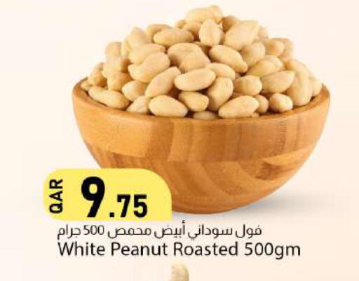 available at دانا ماركت in قطر - الريان