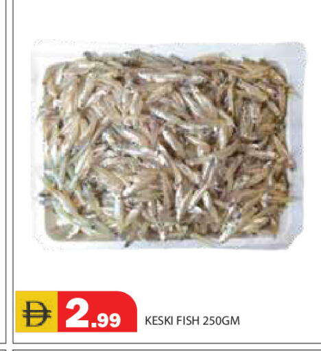 available at سنابل بني ياس in الإمارات العربية المتحدة , الامارات - رَأْس ٱلْخَيْمَة