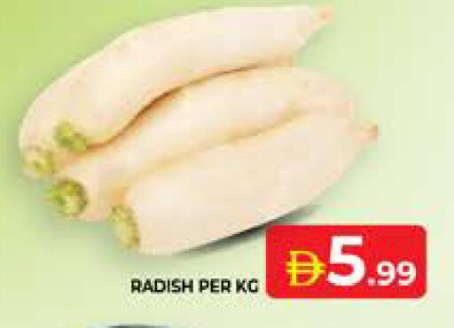 Radish available at الامارات السبع سوبر ماركت in الإمارات العربية المتحدة , الامارات - أبو ظبي