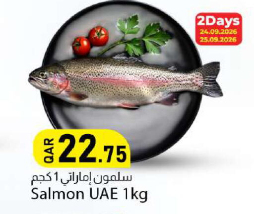 available at دانا ماركت in قطر - الدوحة