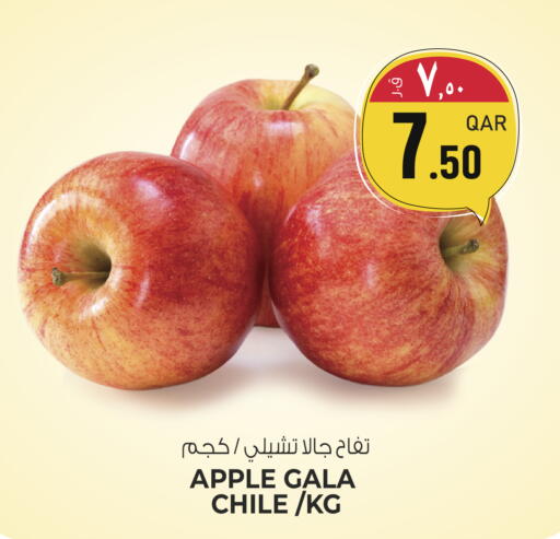 Apple from Chile available at السعودية in قطر - الشمال