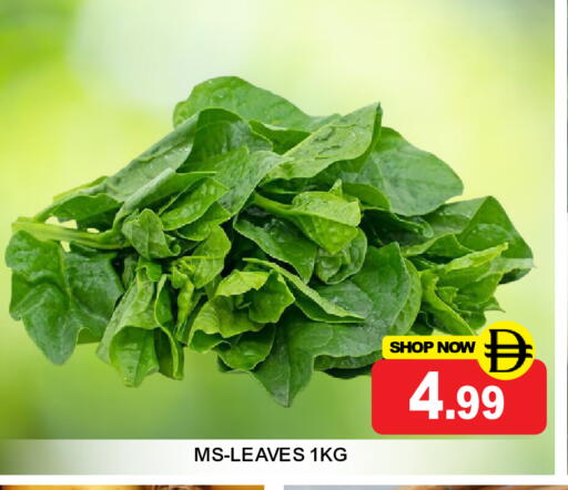 available at سوبر بازار هايبرماركت in الإمارات العربية المتحدة , الامارات - دبي