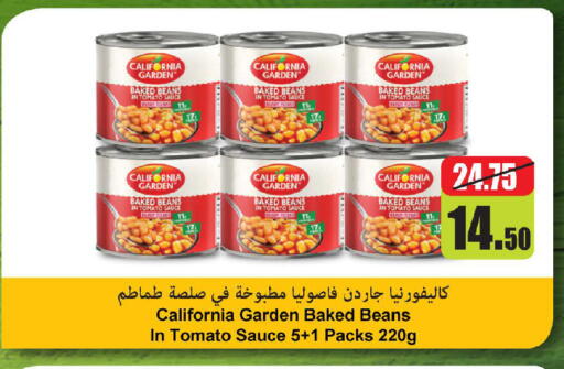 Tomato available at Al Aswaq Hypermarket in UAE - Ras al Khaimah