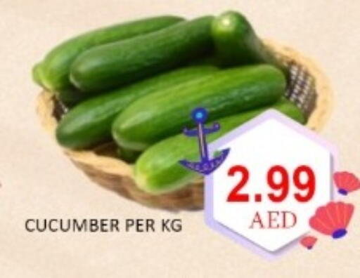Cucumber available at GREEN GIFT DEPARTMENT STORE in UAE - Abu Dhabi