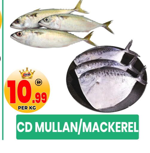 available at Centro Discount Center in UAE - Sharjah / Ajman