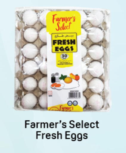 available at Day to Day Department Store in UAE - Dubai