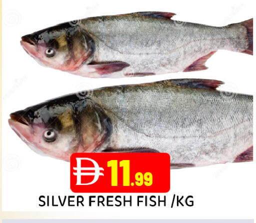 available at Ain Al Madina Hypermarket in UAE - Sharjah / Ajman