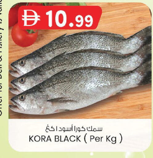 available at ك. إم. هايبرماركت in الإمارات العربية المتحدة , الامارات - أبو ظبي