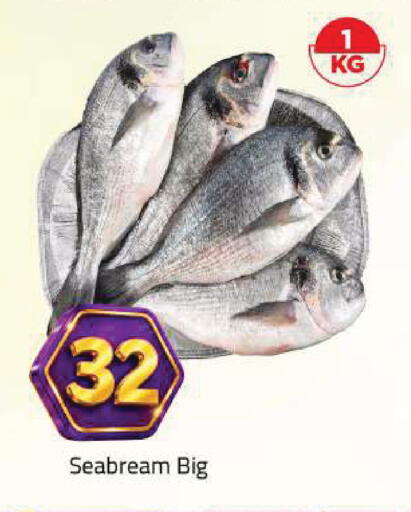 available at مارك & سيف in الإمارات العربية المتحدة , الامارات - أبو ظبي