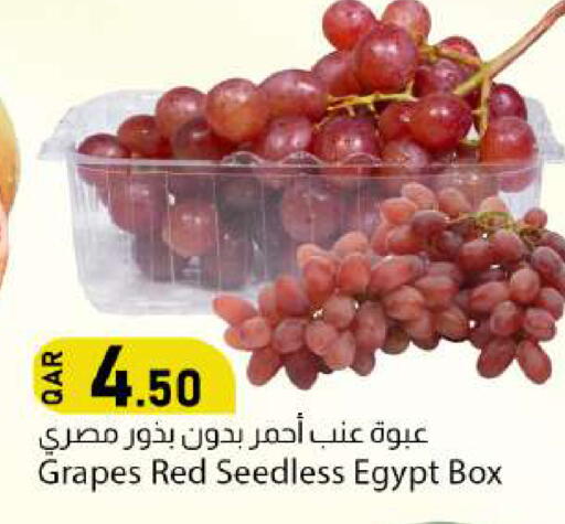 Grapes from Egypt available at دانا ماركت in قطر - الخور