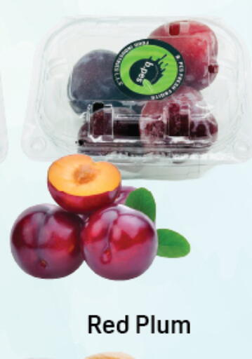 Plum available at دي تو دي in الإمارات العربية المتحدة , الامارات - دبي