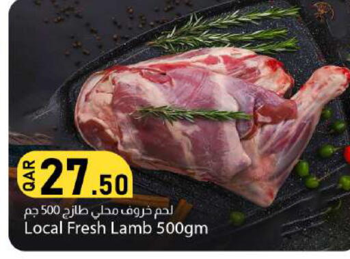 available at دانا ماركت in قطر - الريان