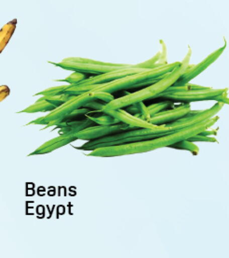 from Egypt available at دي تو دي in الإمارات العربية المتحدة , الامارات - دبي