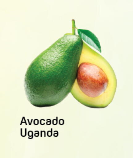Avocado from Uganda available at دي تو دي in الإمارات العربية المتحدة , الامارات - دبي