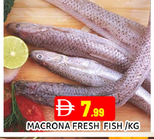 available at Ain Al Madina Hypermarket in UAE - Sharjah / Ajman