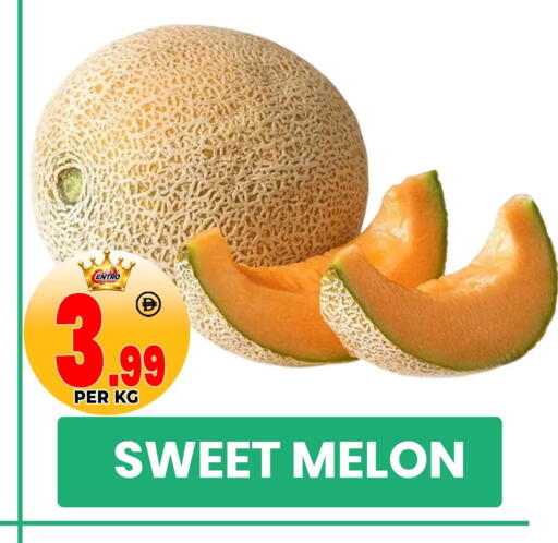 Melon available at مركز الخصومات سنترو in الإمارات العربية المتحدة , الامارات - دبي