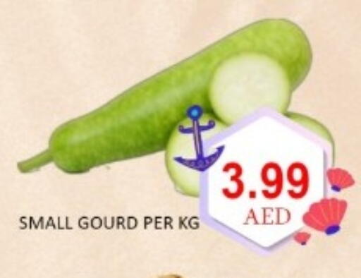 available at GREEN GIFT DEPARTMENT STORE in UAE - Abu Dhabi