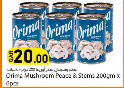 Mushroom available at دانا ماركت in قطر - الدوحة