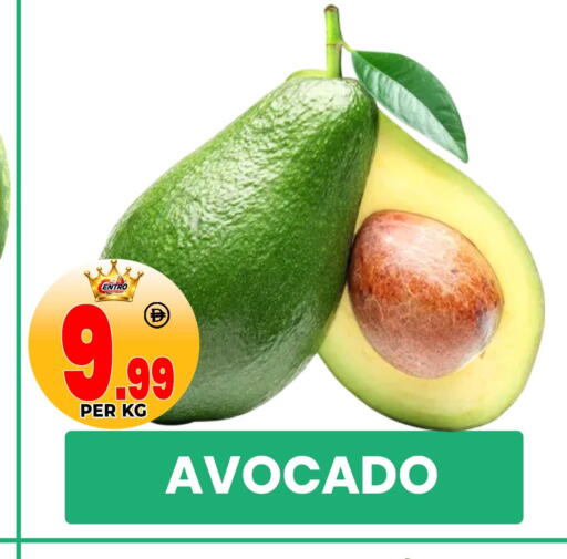 Avocado available at مركز الخصومات سنترو in الإمارات العربية المتحدة , الامارات - دبي