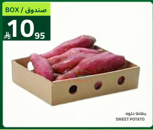 Sweet Potato available at أسواق أسترا in مملكة العربية السعودية, السعودية, سعودية - تبوك