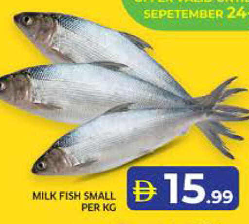 available at الامارات السبع سوبر ماركت in الإمارات العربية المتحدة , الامارات - أبو ظبي