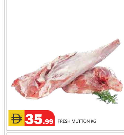 available at سنابل بني ياس in الإمارات العربية المتحدة , الامارات - رَأْس ٱلْخَيْمَة