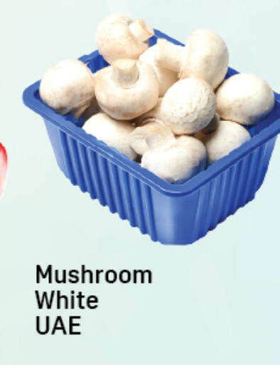 Mushroom available at دي تو دي in الإمارات العربية المتحدة , الامارات - دبي