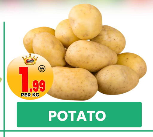 Potato available at مركز الخصومات سنترو in الإمارات العربية المتحدة , الامارات - دبي