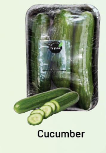 Cucumber available at دي تو دي in الإمارات العربية المتحدة , الامارات - دبي