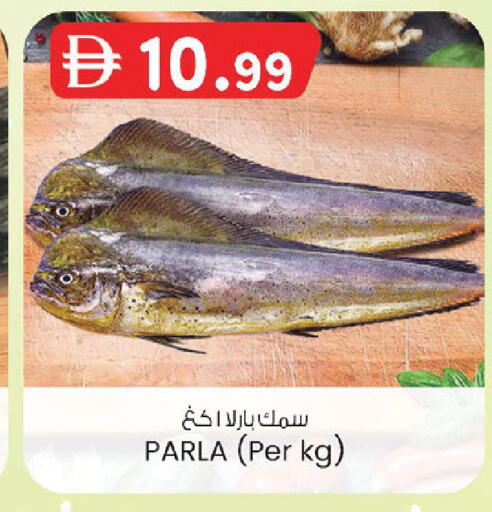 available at ك. إم. هايبرماركت in الإمارات العربية المتحدة , الامارات - أبو ظبي