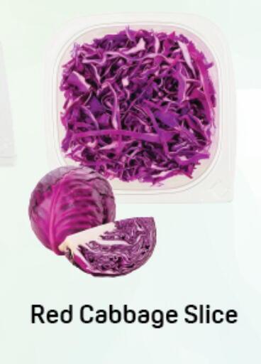 Cabbage available at دي تو دي in الإمارات العربية المتحدة , الامارات - دبي