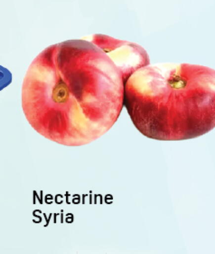 Nectarine from Syria available at دي تو دي in الإمارات العربية المتحدة , الامارات - دبي