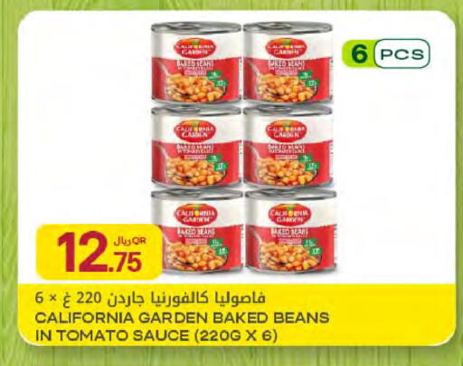 Tomato available at شركة الميرة للمواد الاستهلاكية in قطر - أم صلال