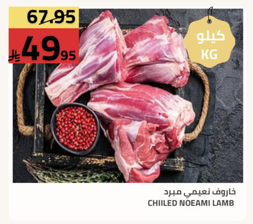 available at أسواق أسترا in مملكة العربية السعودية, السعودية, سعودية - تبوك