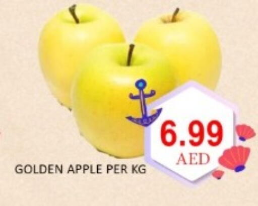 Apple available at GREEN GIFT DEPARTMENT STORE in UAE - Abu Dhabi