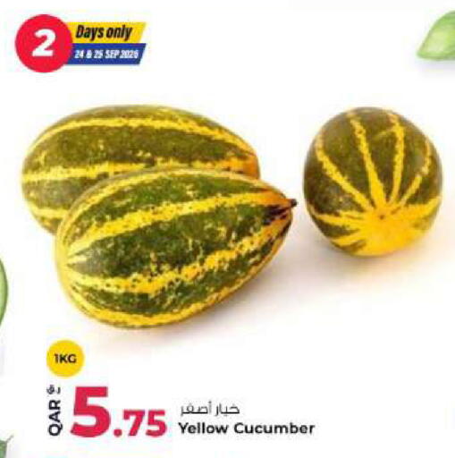 Cucumber available at Rawabi Hypermarket in Qatar - Al Khor