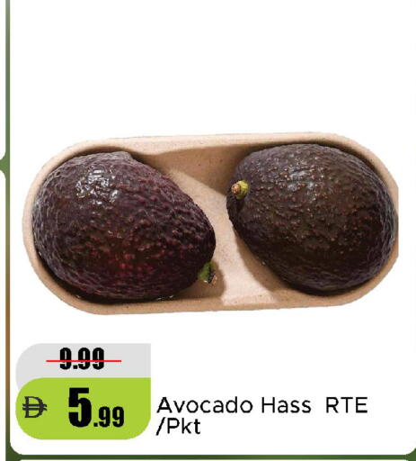 Avocado available at Al Aswaq Hypermarket in UAE - Dubai