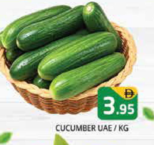 Cucumber available at Pasons Hypermarket in UAE - Sharjah / Ajman