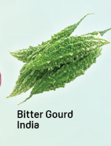 from India available at دي تو دي in الإمارات العربية المتحدة , الامارات - دبي