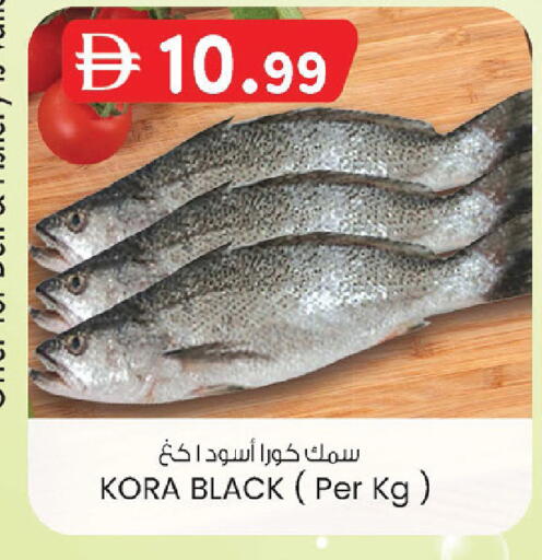 available at K M Trading  in UAE - Abu Dhabi