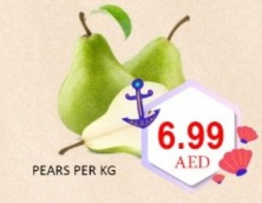 available at GREEN GIFT DEPARTMENT STORE in UAE - Abu Dhabi