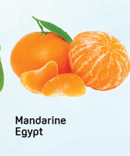 from Egypt available at دي تو دي in الإمارات العربية المتحدة , الامارات - دبي