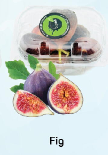 Fig available at دي تو دي in الإمارات العربية المتحدة , الامارات - دبي