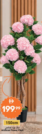 available at جراند الإمارات للتسوق in الإمارات العربية المتحدة , الامارات - أبو ظبي